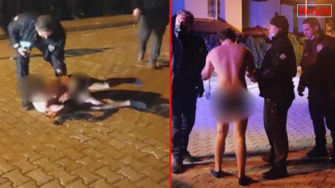 Boxerlı genç ortalığı birbirine kattı!