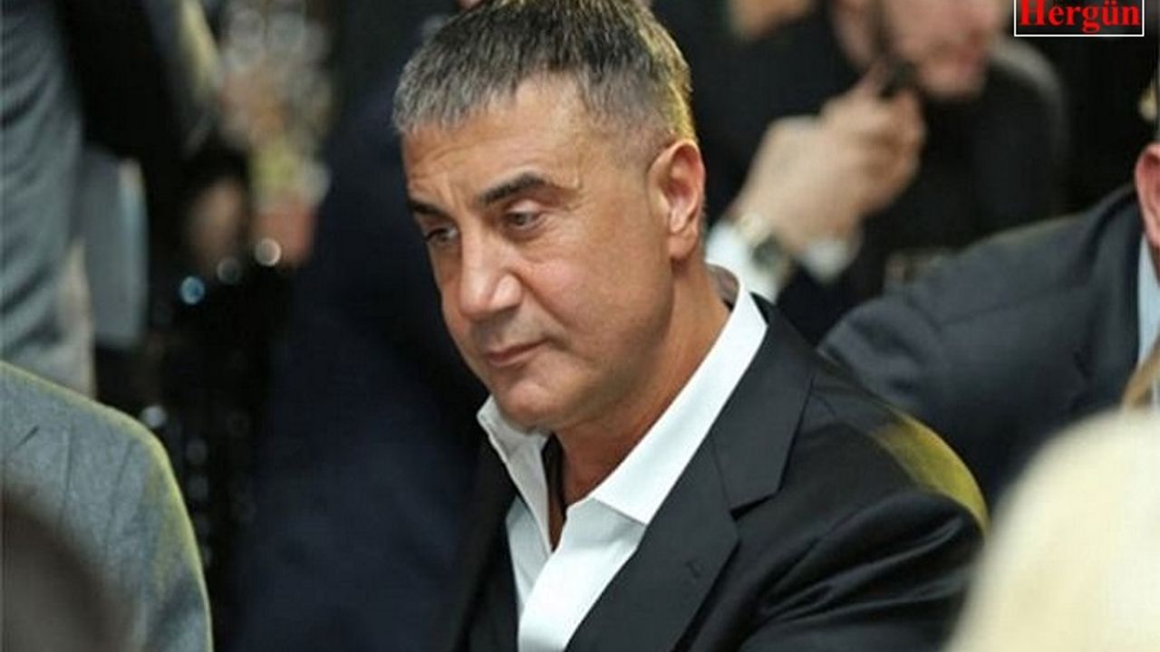 İş Adamı Sedat Peker'den yeni video!