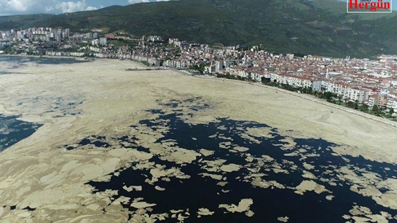 Marmara Denizi'nde temizleme çalışmaları başladı