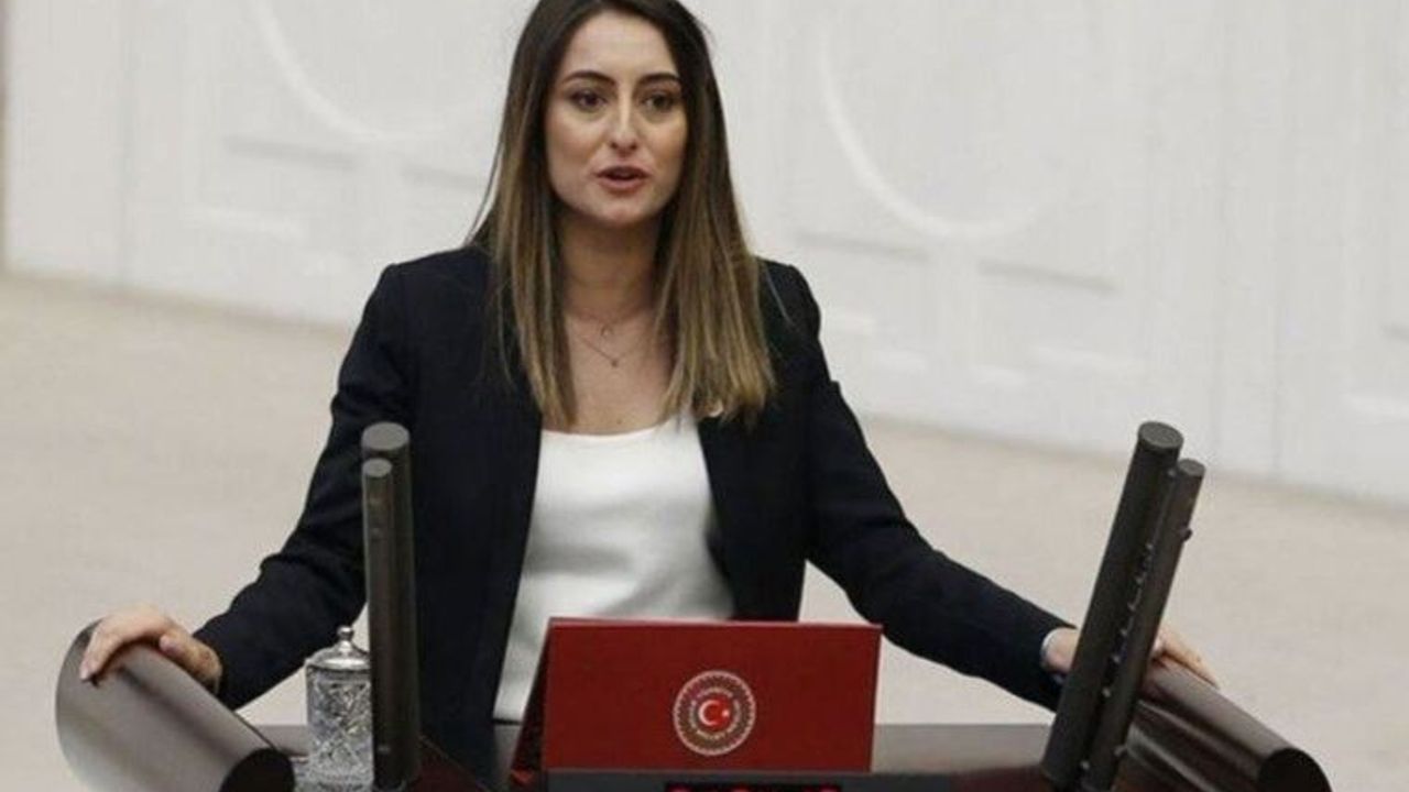 CHP'li Bankoğlu'dan AKP'ye israf eleştirisi