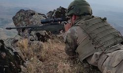 Bakanlık duyurdu: PKK'ya bir darbe daha