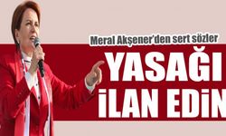 Meral Akşener: Kesintisiz sokağa çıkma yasağı ilan edin!