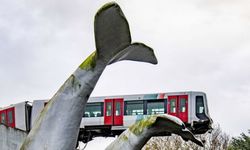 Raydan çıkan tren, balina heykeline asılı kaldı!