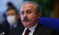 TBMM Başkanı Şentop Türk gemisinin hukuk dışı aranmasını kınadı