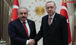 Erdoğan ile Şentop arasındaki görüşme basına kapalı gerçekleşti.