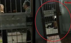 Genç kadını dakikalarca darbetti!