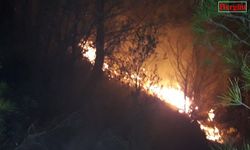 Muğla'daki orman yangınlarını söndürme çalışmaları devam ediyor
