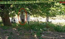 Devriye polisi ağaca asılı ceset buldu