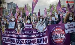 Türkiye'ye 19 Ülkeden Ortak İstanbul Sözleşmesi Tepkisi