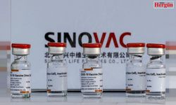 Sinovac aşısında beklenen haber geldi!