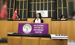 Pes artık: DEM Parti “bebek katili Öcalan için” yürüyeceklerini açıkladı