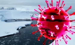 Zombi virüsü nedir: Belirtileri nelerdir?