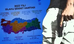 Türkiye’nin şiddet haritası!
