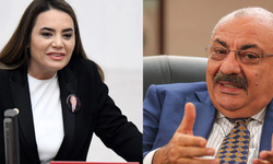 Türkeş kardeşler sosyal medyada birbirine girdi!