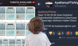 'Ayaklanın' paylaşımı 14 yaşında bir çocuğa ait çıktı