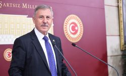 Selçuk Özdağ’dan “Uygur Türkleri" tepkisi