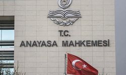 Anayasa Mahkemesi’nden Hayvan Yasası kararı