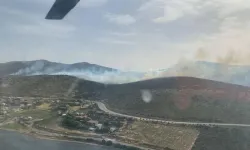 İzmir Urla'da orman yangını
