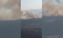 Manisa’nın Kırkağaç ilçesinde orman yangını