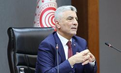 Türkiye-Gürcistan Serbest Ticaret Anlaşması'nın menşe kuralları revize edilecek
