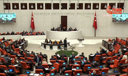 TBMM Genel Kurulu'nda AK Partili Varank ile CHP'li Başarır arasında "ayı" tartışması