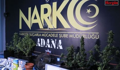 Evlerinde uyuşturucu yetiştiren baba ve oğlu