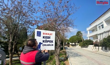 Hayvan dostu Kuşadası Belediyesi’nden örnek bir uygulama daha