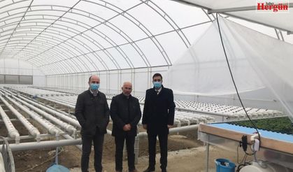 Sungurlu’da kurduğu 500 metrekare serada topraksız marul yetiştiriyor