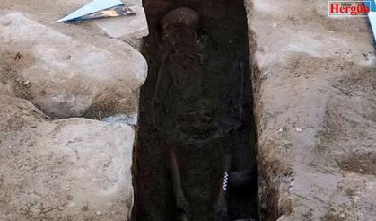 Traktörün pulluğuna lahit mezar takıldı