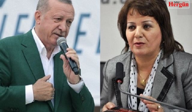 Azerbaycanlı profesör Erdoğan'ın doğum gününü böyle tebrik etti: “Yaşa! Yarat büyük Turan lideri!”