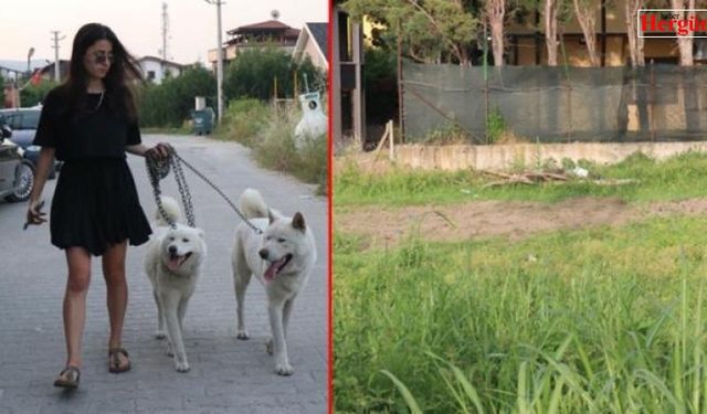 Köpekler parçalara ayrılmış iki cansız beden buldu