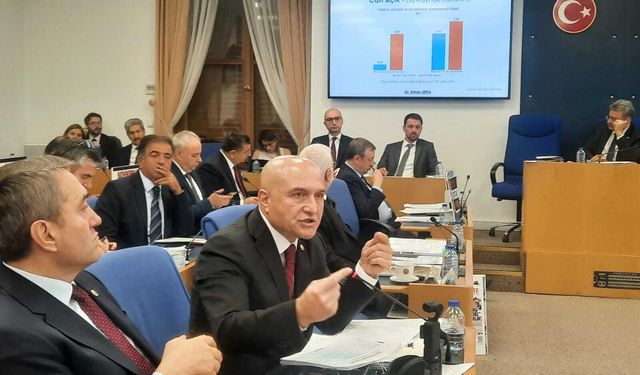 Erhan Usta: "TSK ile ilgili maddelerin buraya yazılması çok büyük bir cüret"