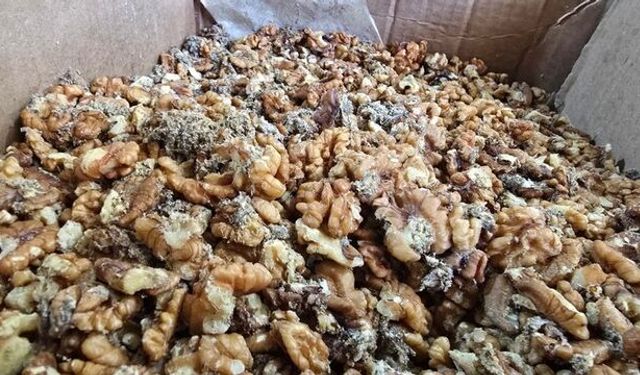 Baklava imalathanesinde 11 ton küflenmiş ceviz!