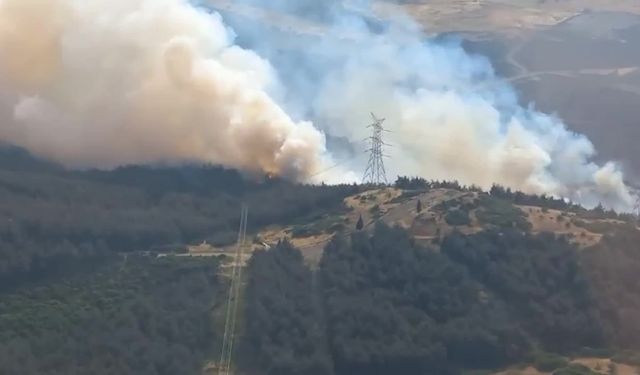 İzmir Aliağa’da orman yangını çıktı