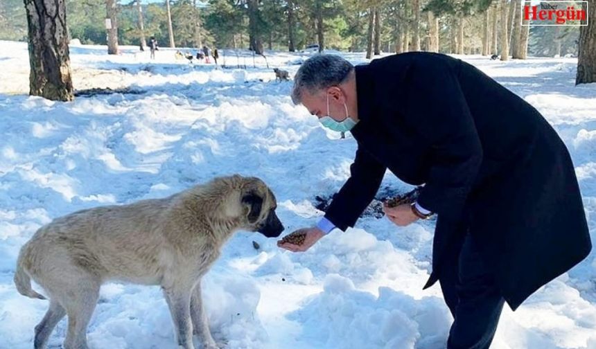 Milletvekili Dr. Mustafa Canbey, Can Dostlar Yaşasın projesine destek olarak, vahşi yaşam alanındaki hayvanları besledi