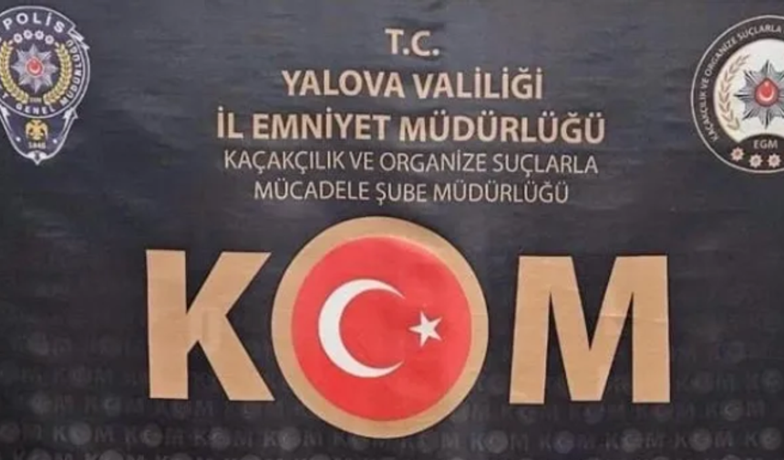 Yalova'da uyuşturucu operasyonu!