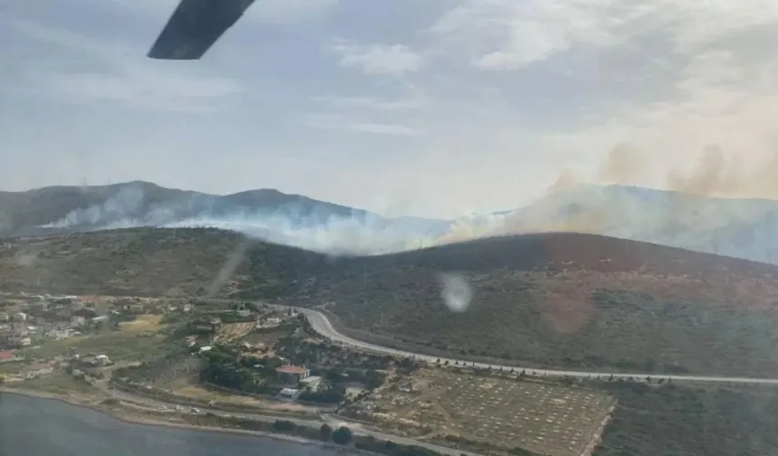 İzmir Urla'da orman yangını