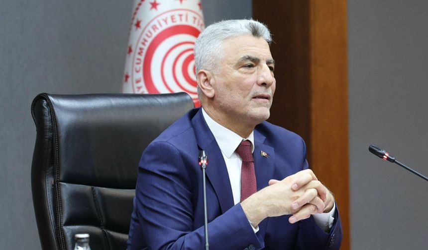 Türkiye-Gürcistan Serbest Ticaret Anlaşması'nın menşe kuralları revize edilecek